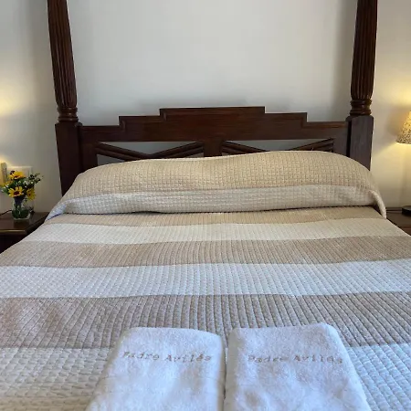 Padre Aviles Apartment *